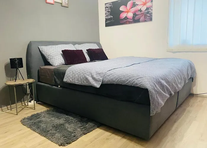 Studio Apartman Jovicic
